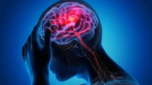 SHILAJIT FOR BRAIN FUNCTION ENHANCMENT